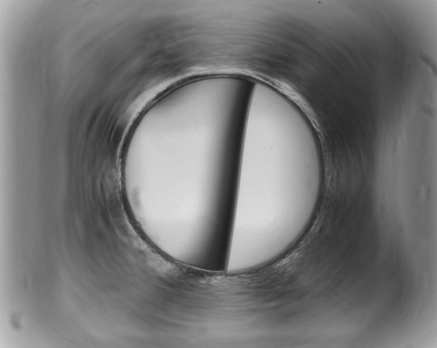 X0000100481380200806130722