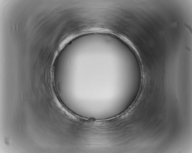X0000100481381200806130722