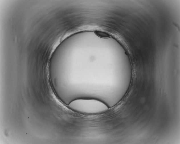 X0000100481382200806130722