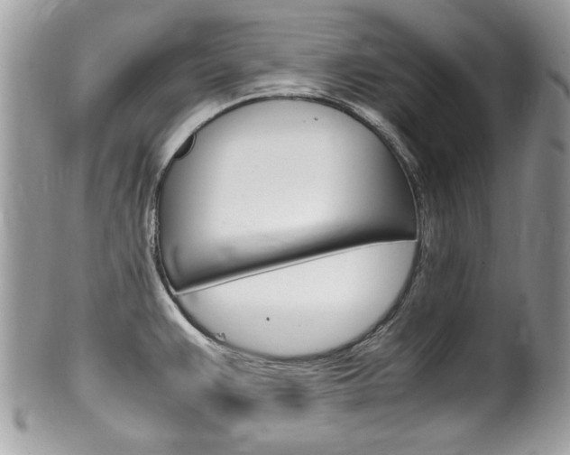 X0000100481383200806130722