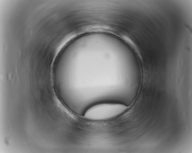 X0000100481384200806130722
