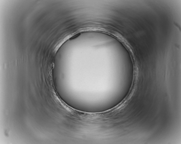 X0000100481385200806130722