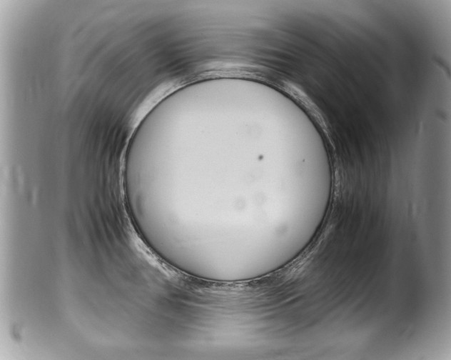 X0000100481386200806130722