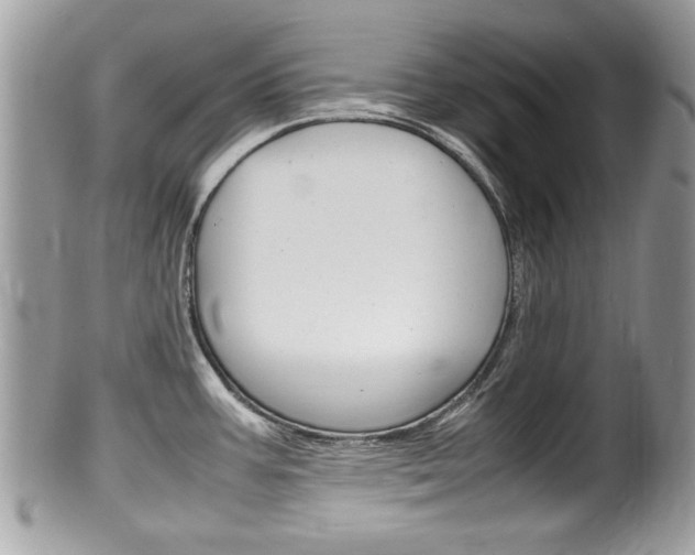 X0000100481387200806130722