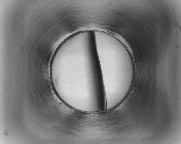X0000100481388200806130722