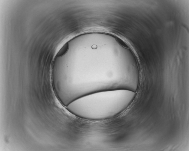 X0000100481390200806130722