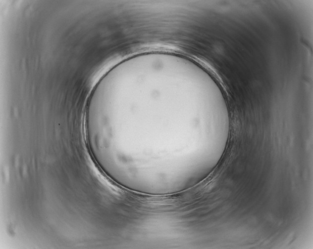 X0000100481391200806130722