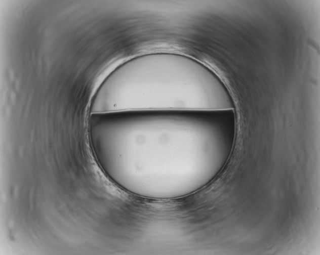 X0000100481392200806130722