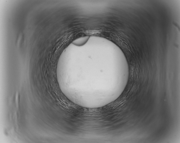 X0000100481393200806130722