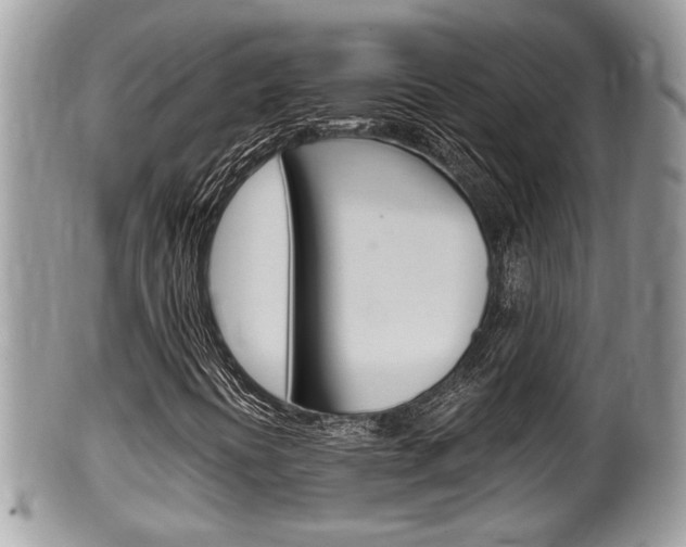 X0000100481394200806130722