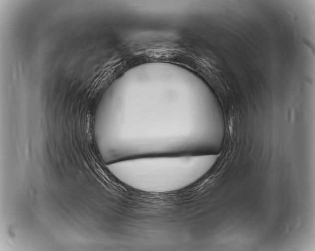 X0000100481396200806130722