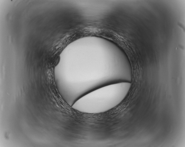 X0000100481397200806130722
