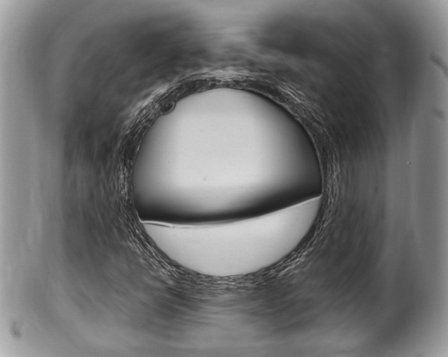 X0000100481398200806130722