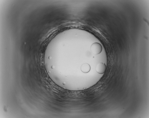 X0000100481399200806130722
