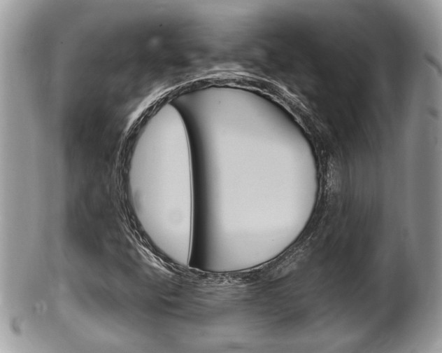 X0000100481400200806130722