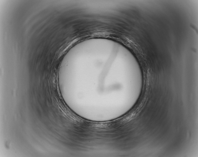 X0000100481401200806130722