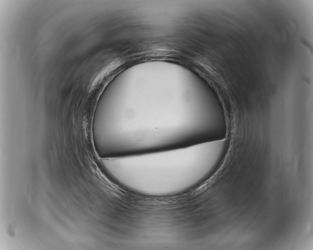 X0000100481402200806130722