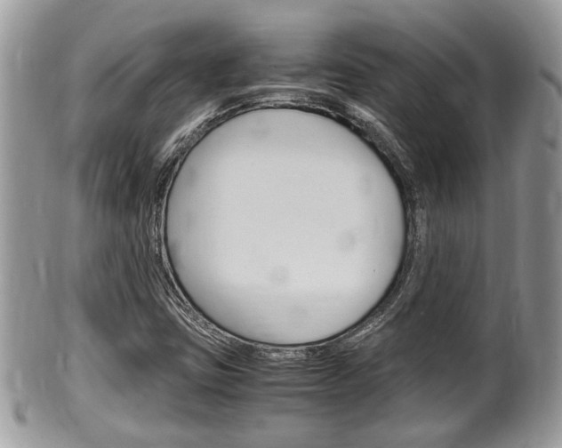 X0000100481403200806130722