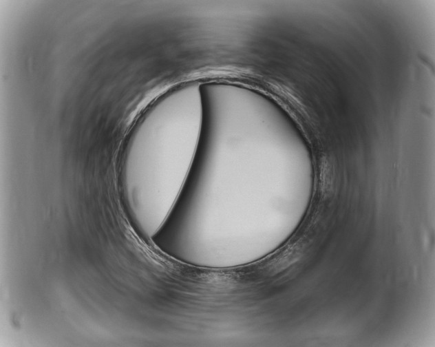 X0000100481404200806130722
