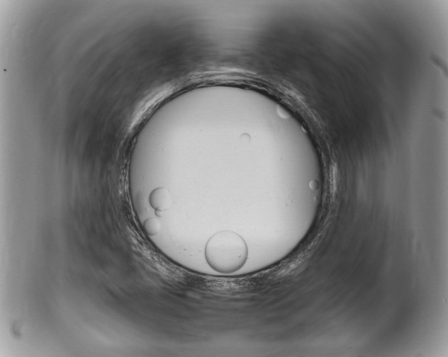 X0000100481405200806130722