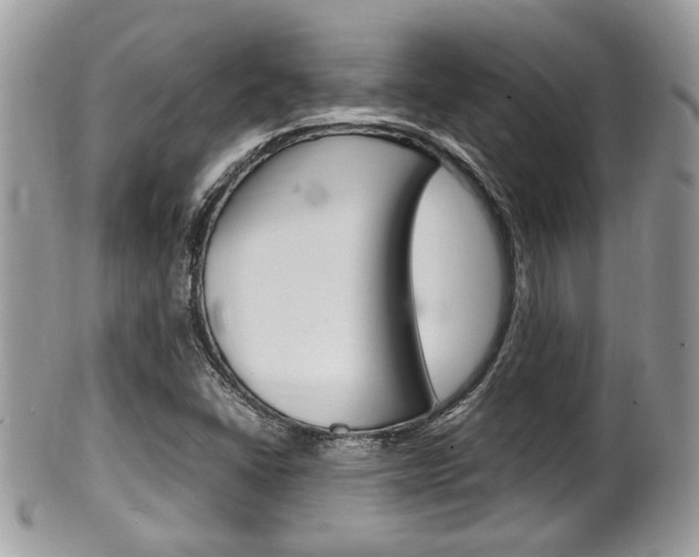 X0000100481406200806130722