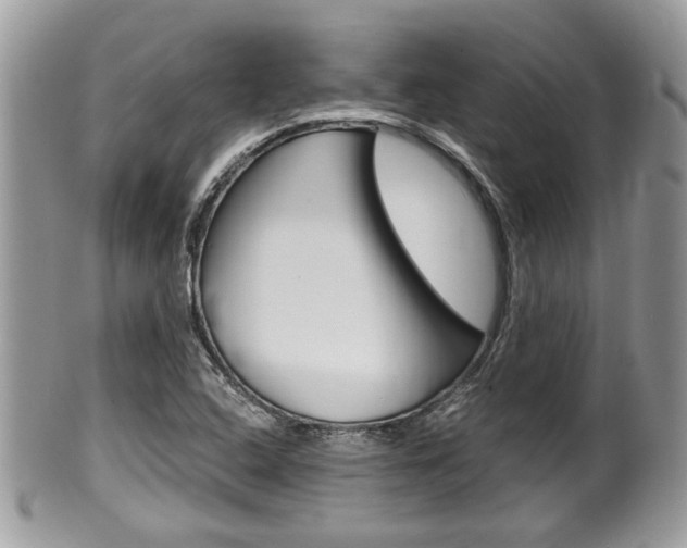 X0000100481408200806130722