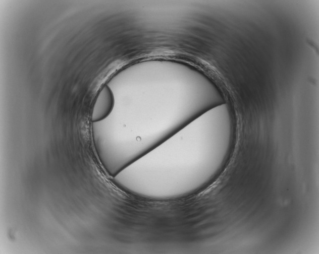 X0000100481409200806130722