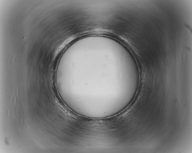 X0000100481410200806130722