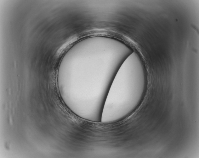 X0000100481411200806130722