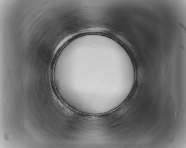 X0000100481412200806130722