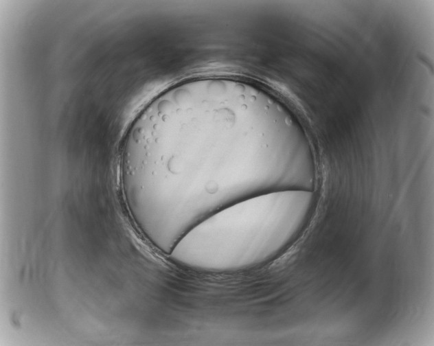 X0000100481413200806130722