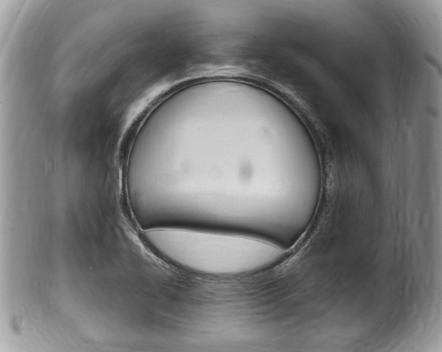 X0000100481414200806130722