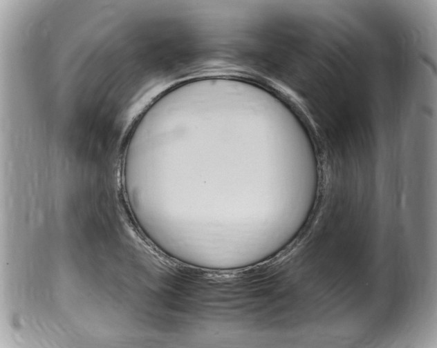 X0000100481415200806130722