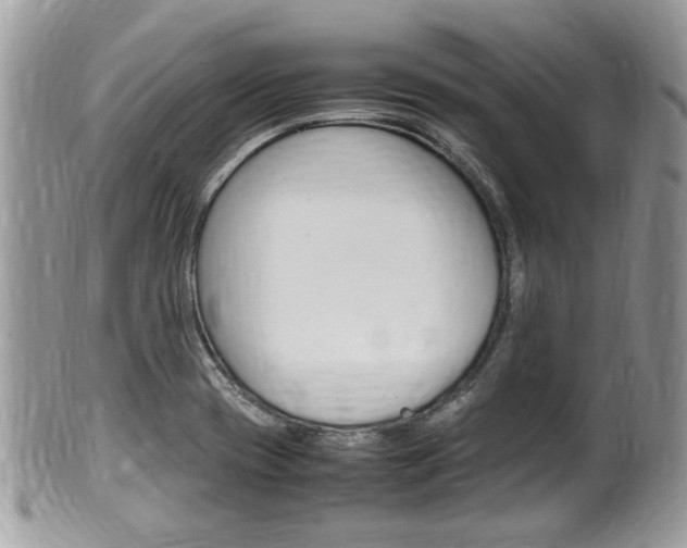 X0000100481417200806130722
