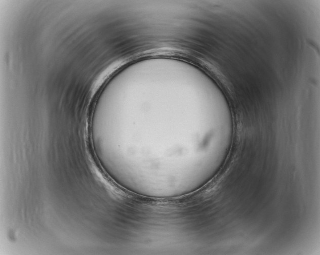 X0000100481418200806130722