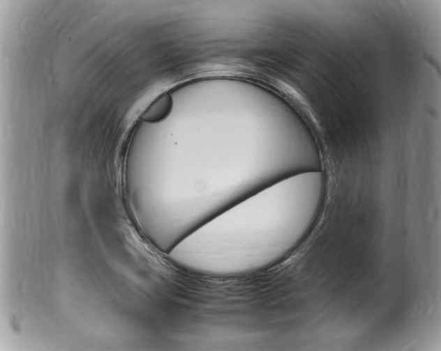 X0000100481419200806130722