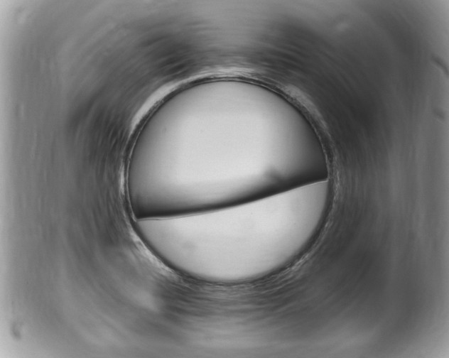 X0000100481420200806130722