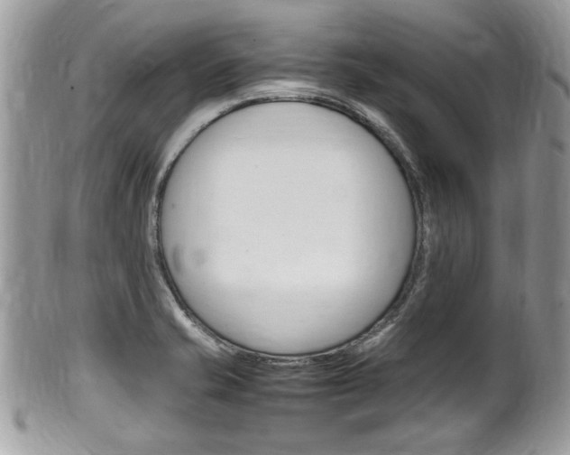 X0000100481421200806130722