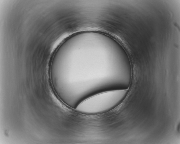 X0000100481422200806130722