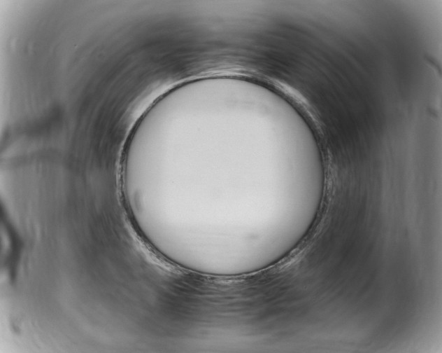 X0000100481423200806130722