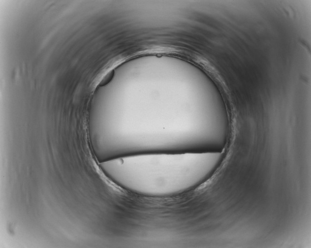 X0000100481425200806130722
