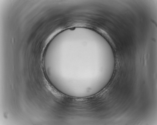 X0000100481427200806130722
