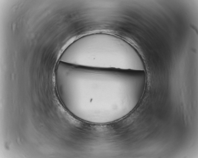 X0000100481428200806130722