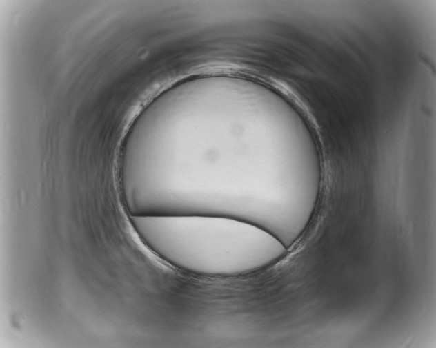 X0000100481429200806130722