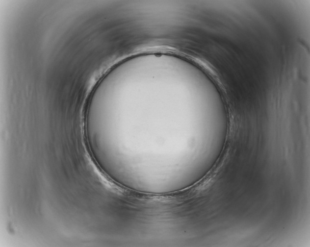 X0000100481430200806130722