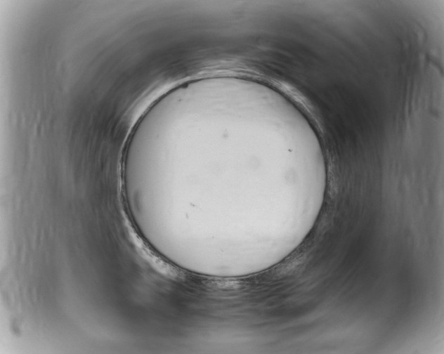 X0000100481431200806130722