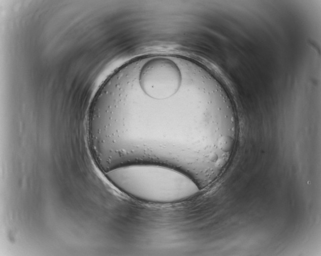 X0000100481432200806130722