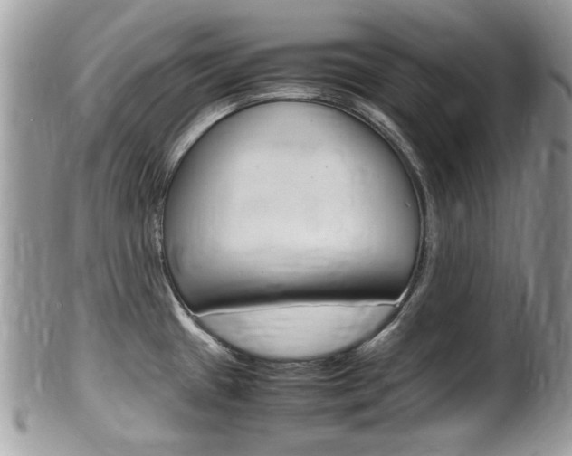 X0000100481433200806130722