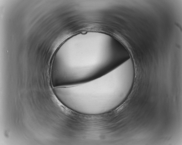 X0000100481434200806130722