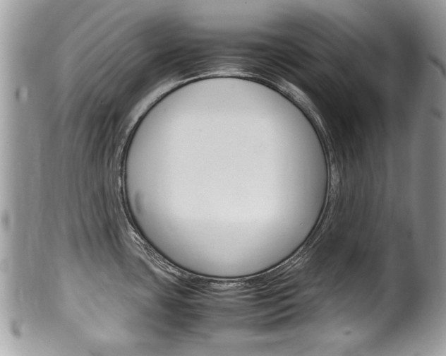 X0000100481435200806130722